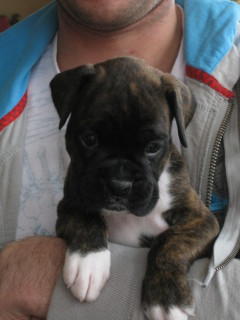 Baby girl 4W