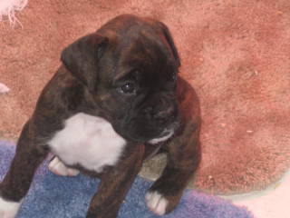 Baby girl