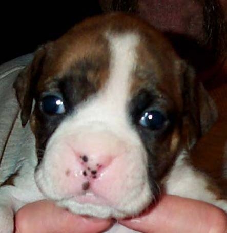 Baby Gunnar