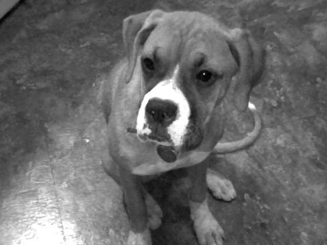 Baby Gurl