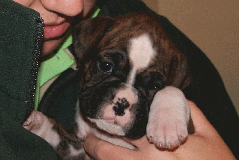 Baby Hannah