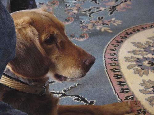 Baby Irma posing for me!