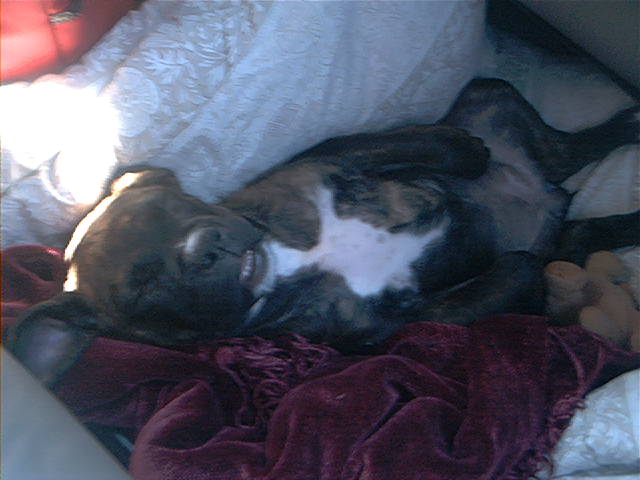 Baby Jenna on her first road trip