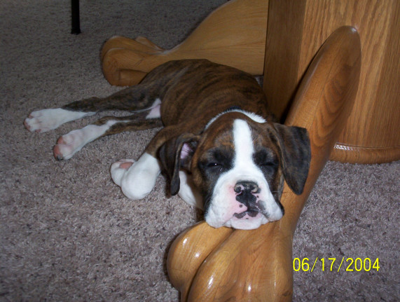 Baby Justy sleeping
