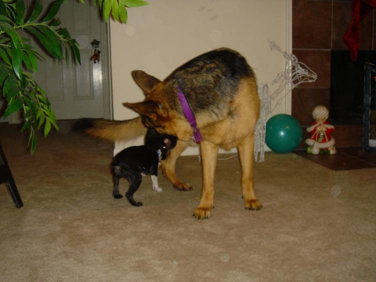 Baby Kai and Zea