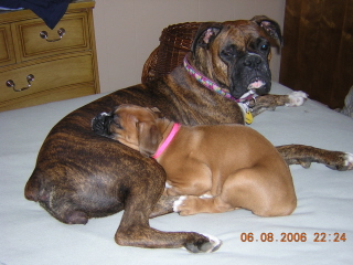 Baby Lily with Daisy (mom)