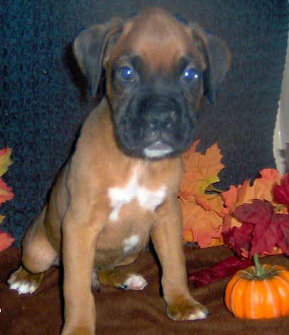 baby Louie at  8 weeks