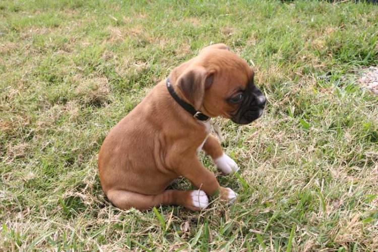 Baby Lucky