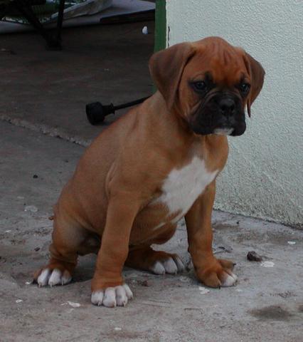 Baby Maya
