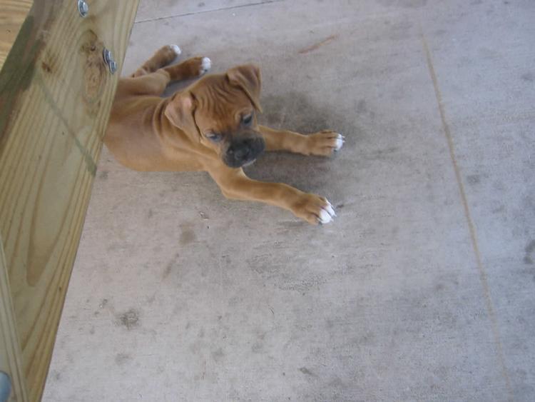 Baby Oliver