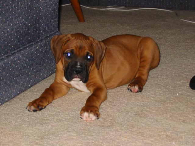 baby Oscar almost 9 weeks