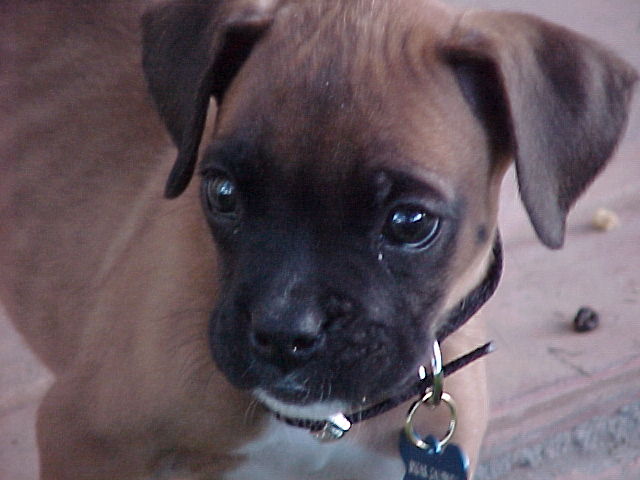 Baby Oscar
