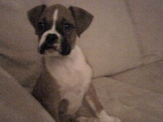 Baby Paris
