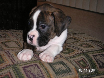 Baby picture