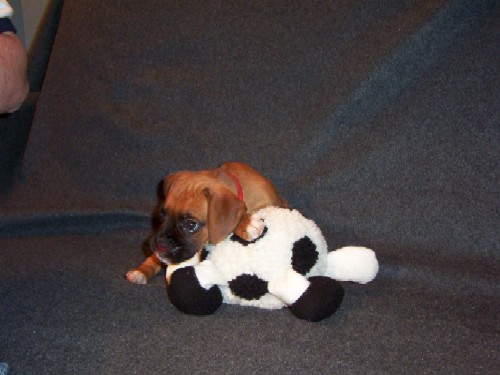 Baby Picture