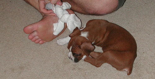 Baby Reggie