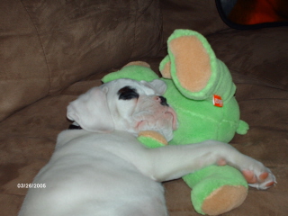 Baby Sampson and friend!