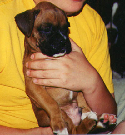 Baby Scrapper