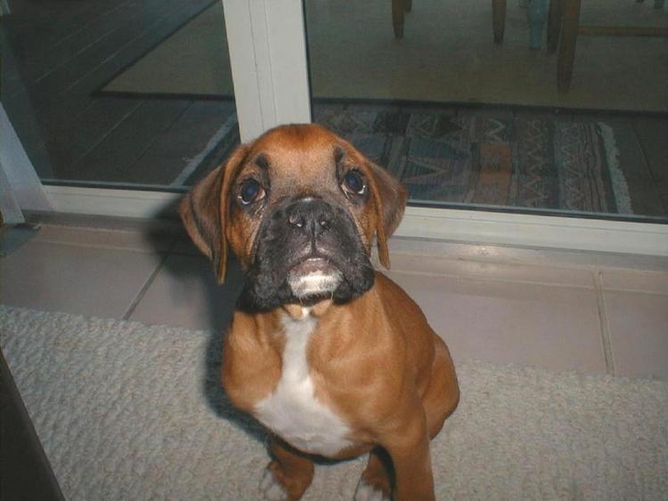 Baby Sunny