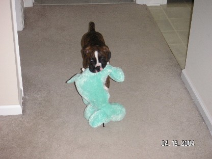 Baby toy