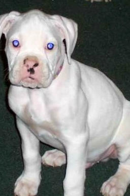 Baby Xavier