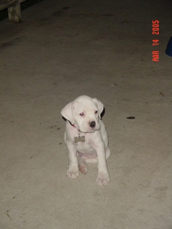 Baby Xena