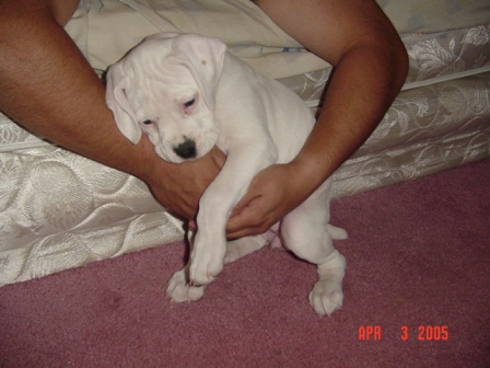 Baby Xena