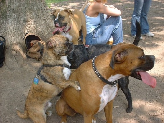 Baby, you know I LOVE you