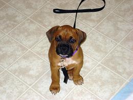 Baby Zoe