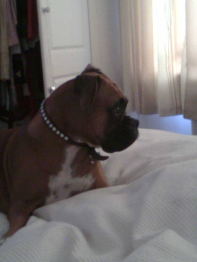 baby