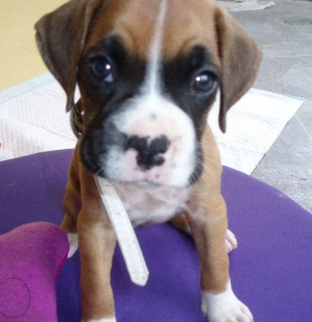 baby5