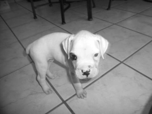 baby9