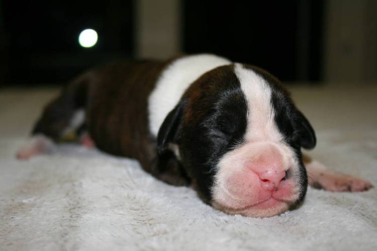 Baby_Mia