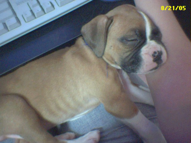 BabyBaby