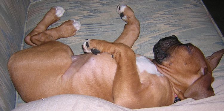Back Napping