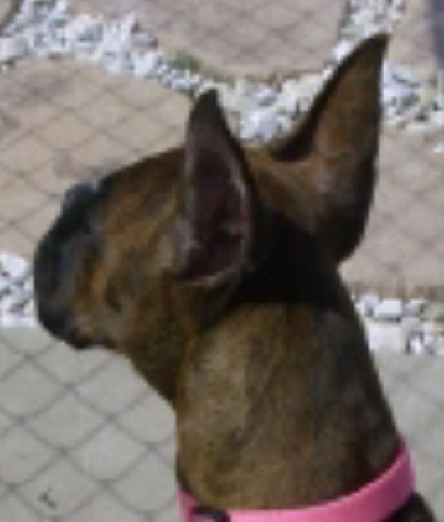 back view