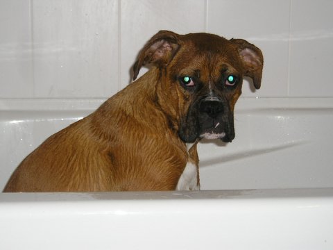 Bad Bath Time