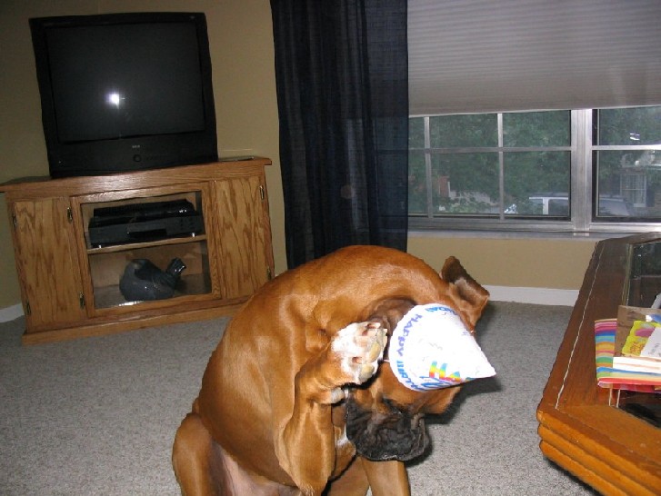 Bad Birthday Hat