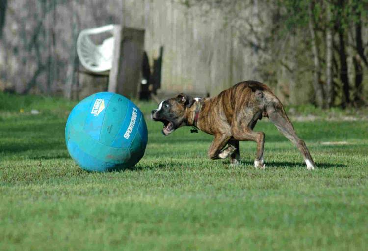 bad_ball