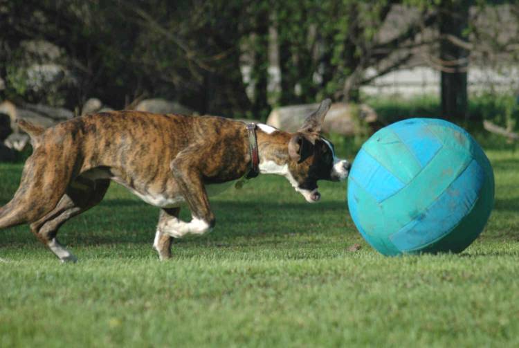 bad_ball2