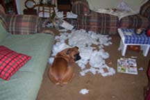 badpillow