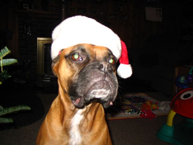 Bah humbug!