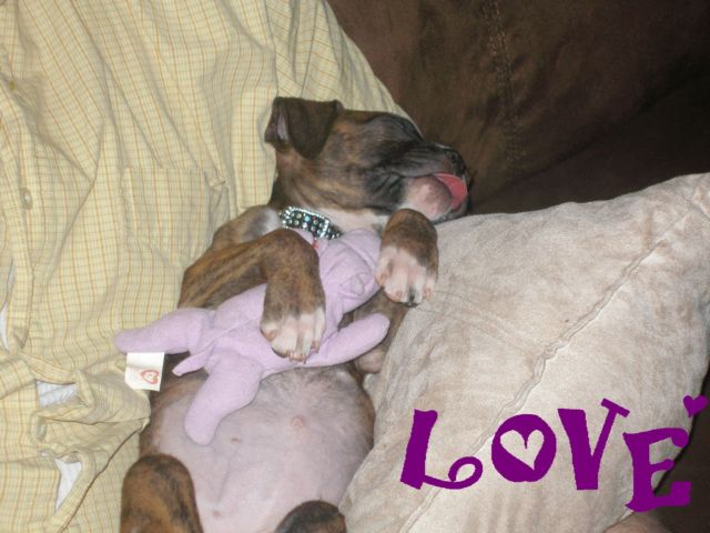 Bailey and her hippo!