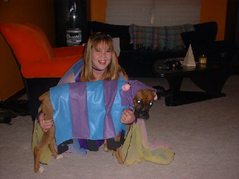 Bailey as a Caterpiller