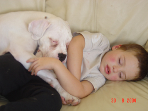 bailey asleep with my son