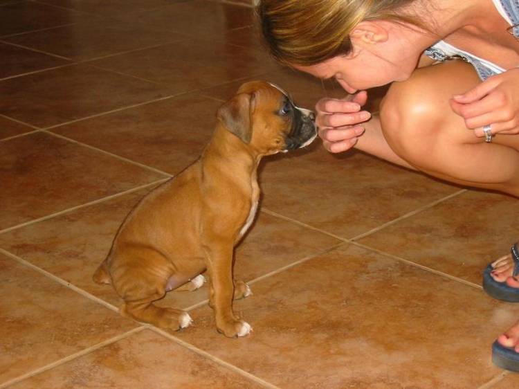 Bailey at 8 weeks