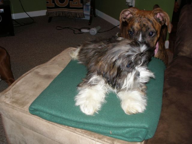 Bailey checking it out
