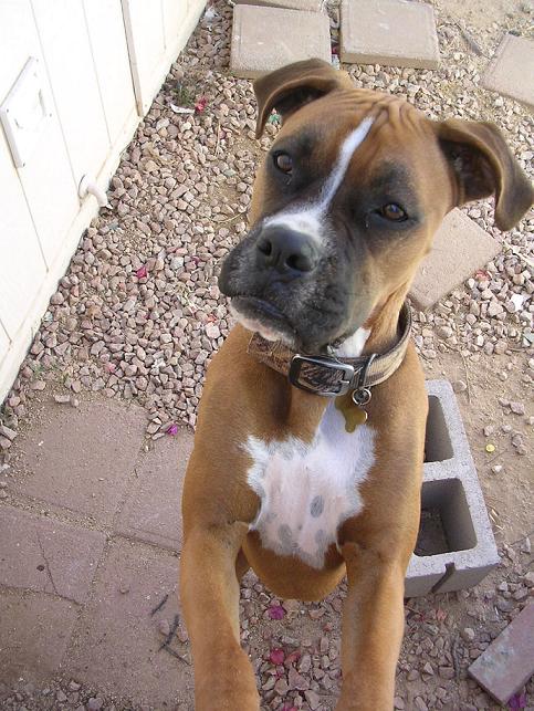 Bailey checking things out
