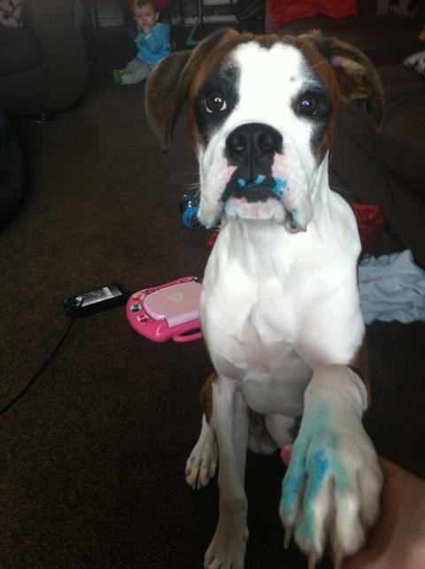 Bailey & the Bingo pen
