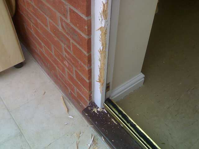 Bailey took a liking to the door frame.....